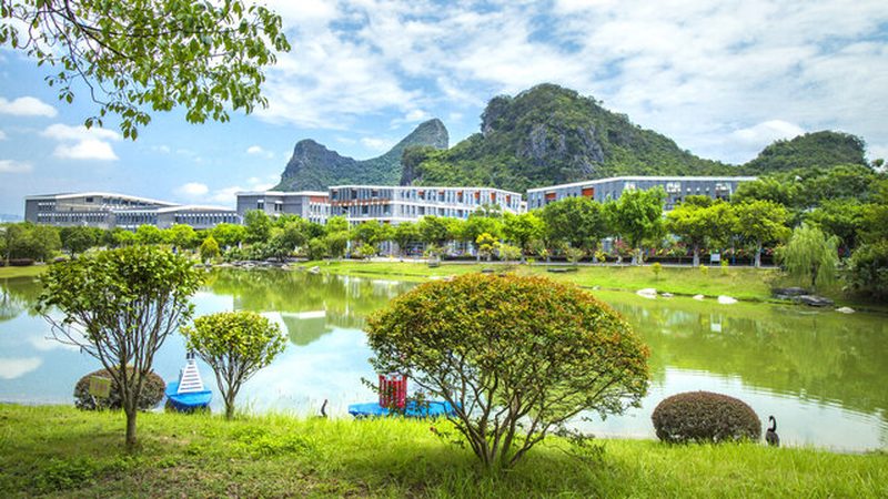 高频线路板报价之谜：揭秘影响价格的关键因素