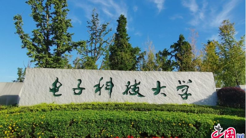 晶振型号揭秘：电子代工中的时间标准器